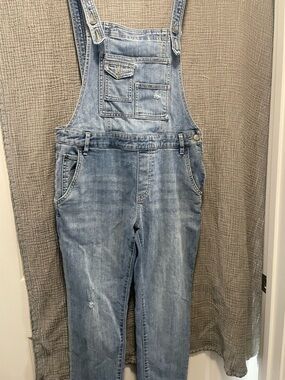 Free People Light Blue Denim Overalls